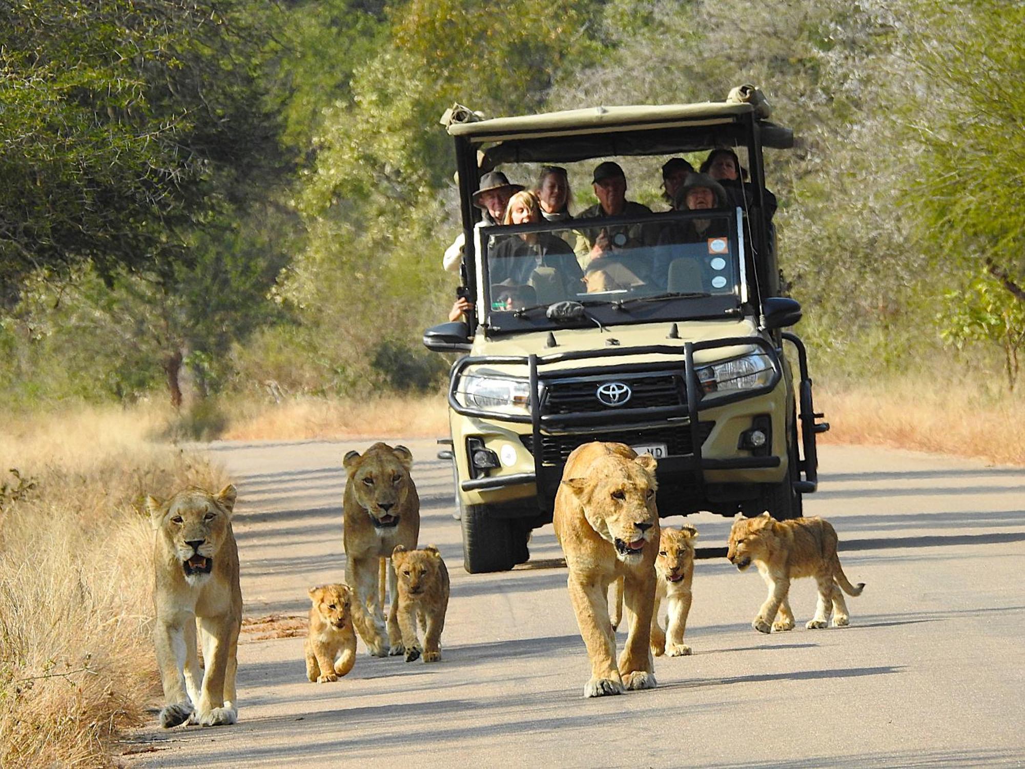 Ubuntu Bed And Breakfast Marloth Park Luaran gambar