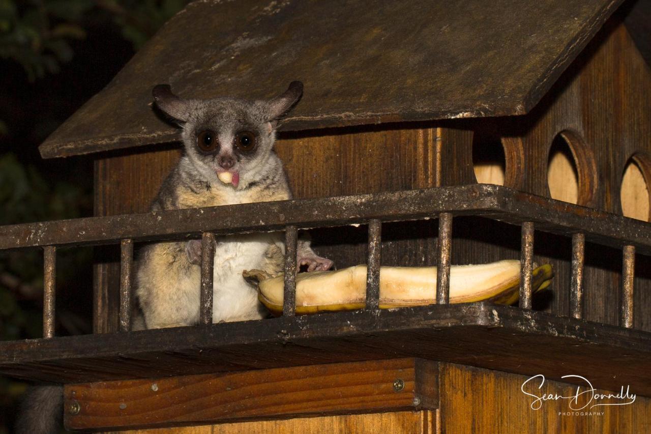 Ubuntu Bed And Breakfast Marloth Park Luaran gambar